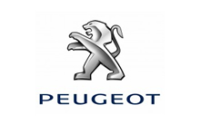 Peugeot Car Key